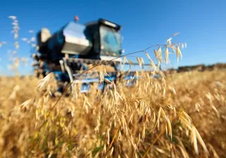 Капитал - КазАгро увеличил чистую прибыль почти на 24%