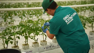 Фото: Арман Ғалымжанов