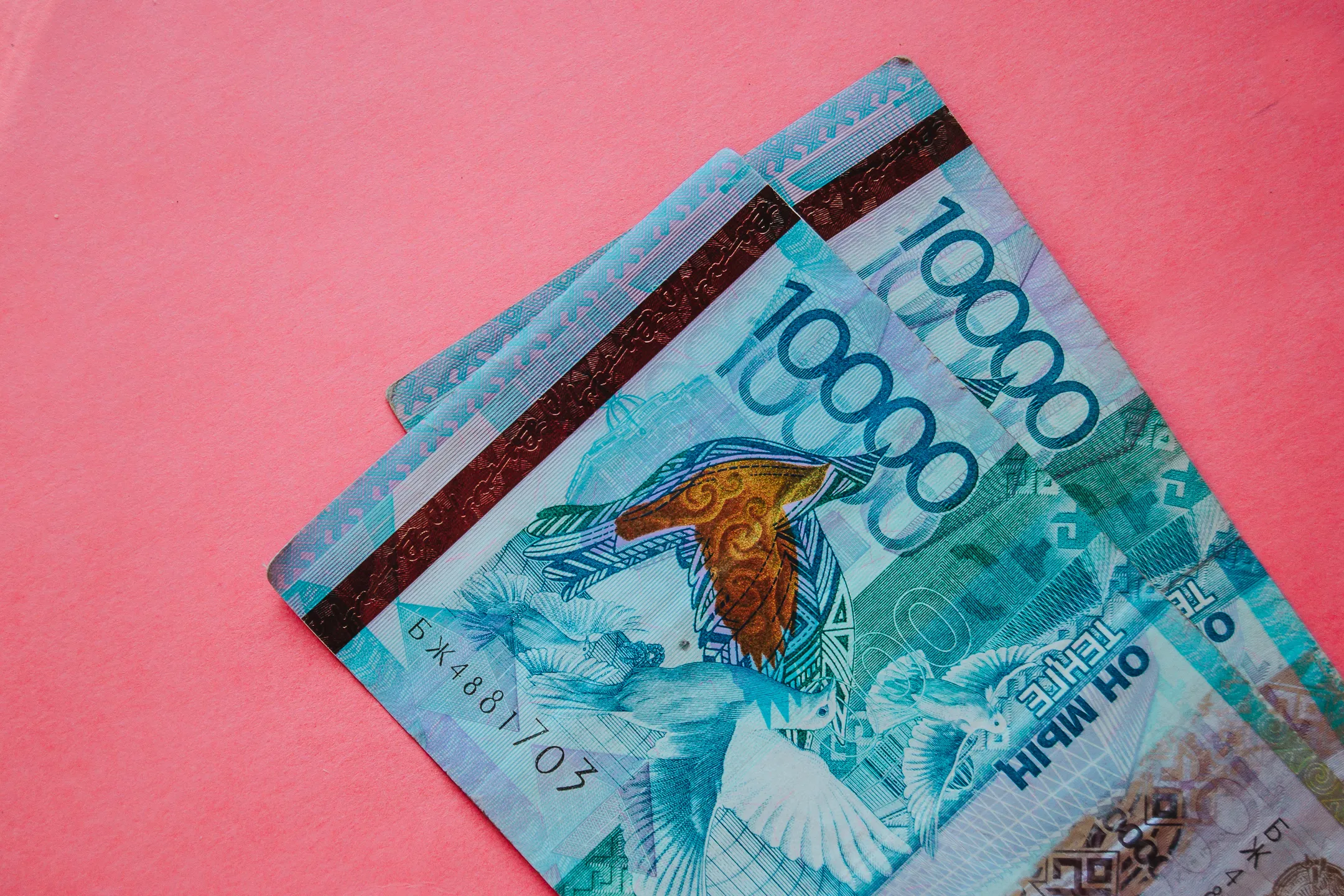 Фото: Валерия Змейкова