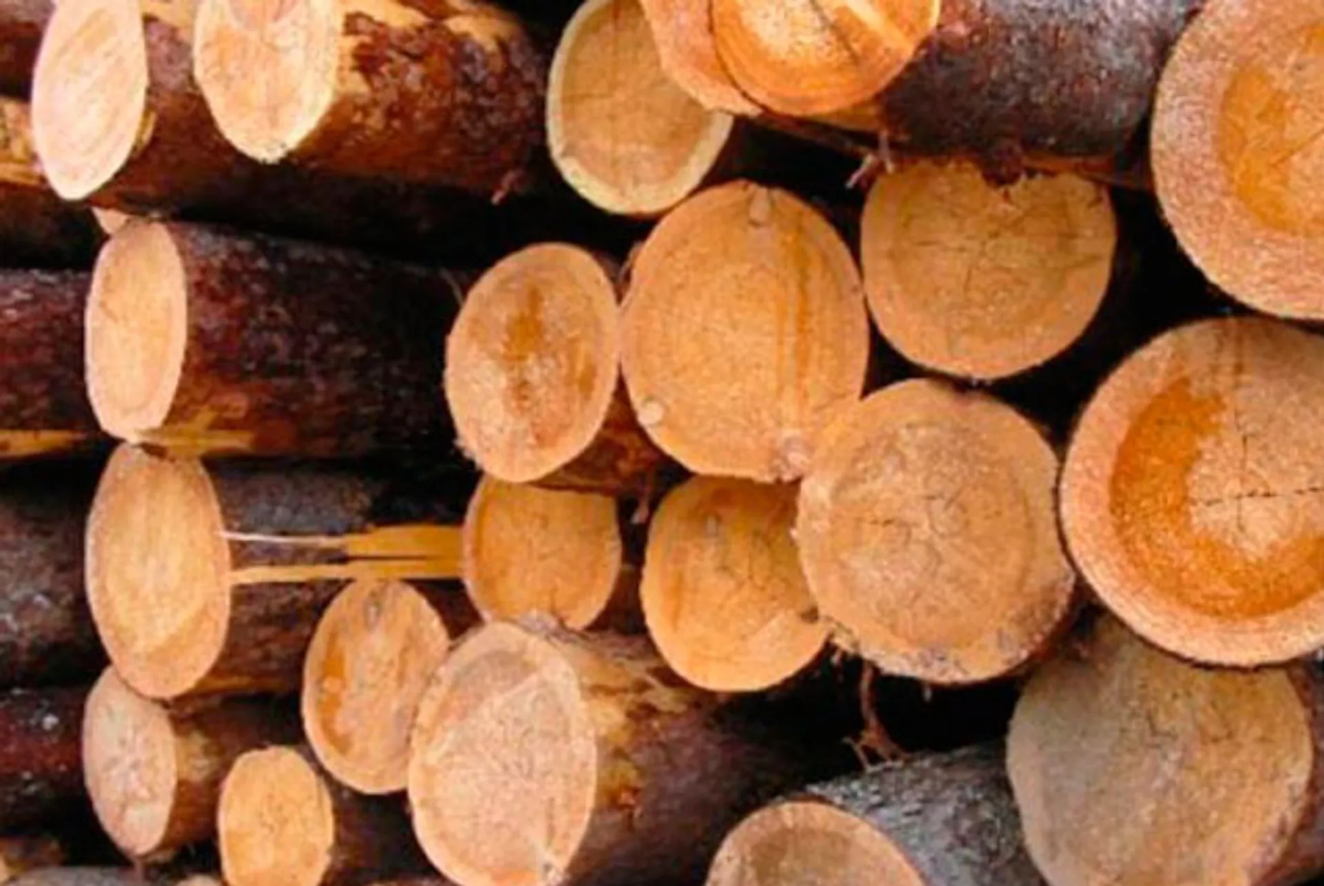 Капитал - Экспорт из РК подешевел, импорт подорожал