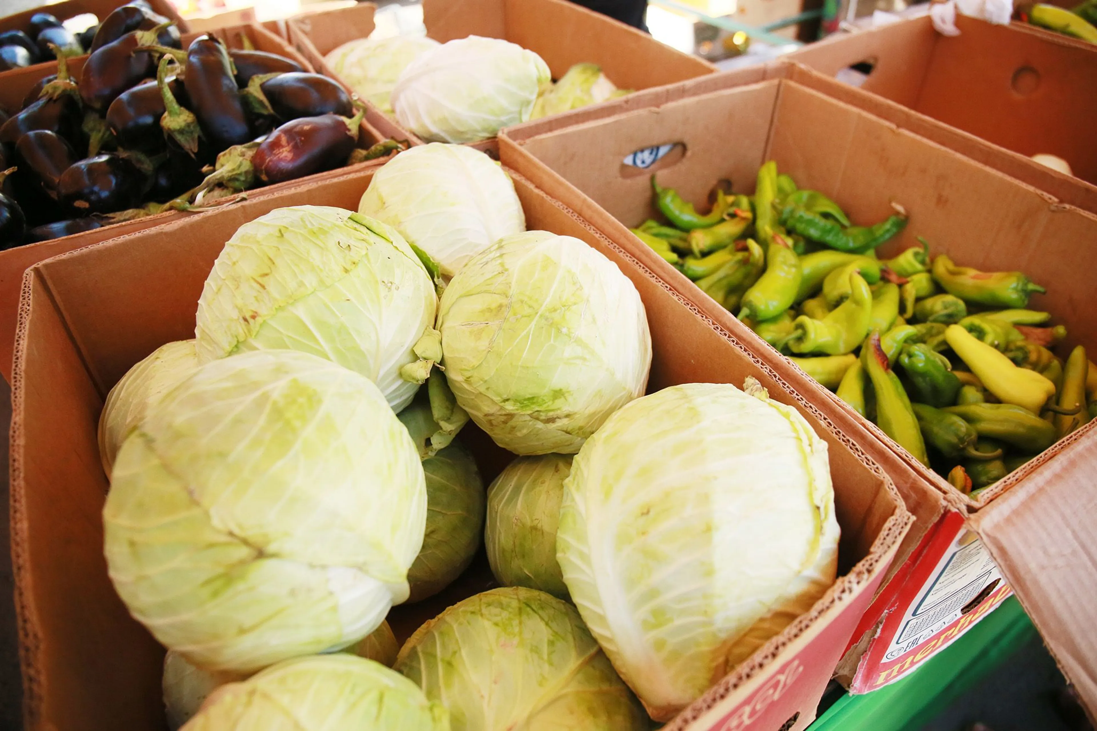 Фото: Руслан Пряников