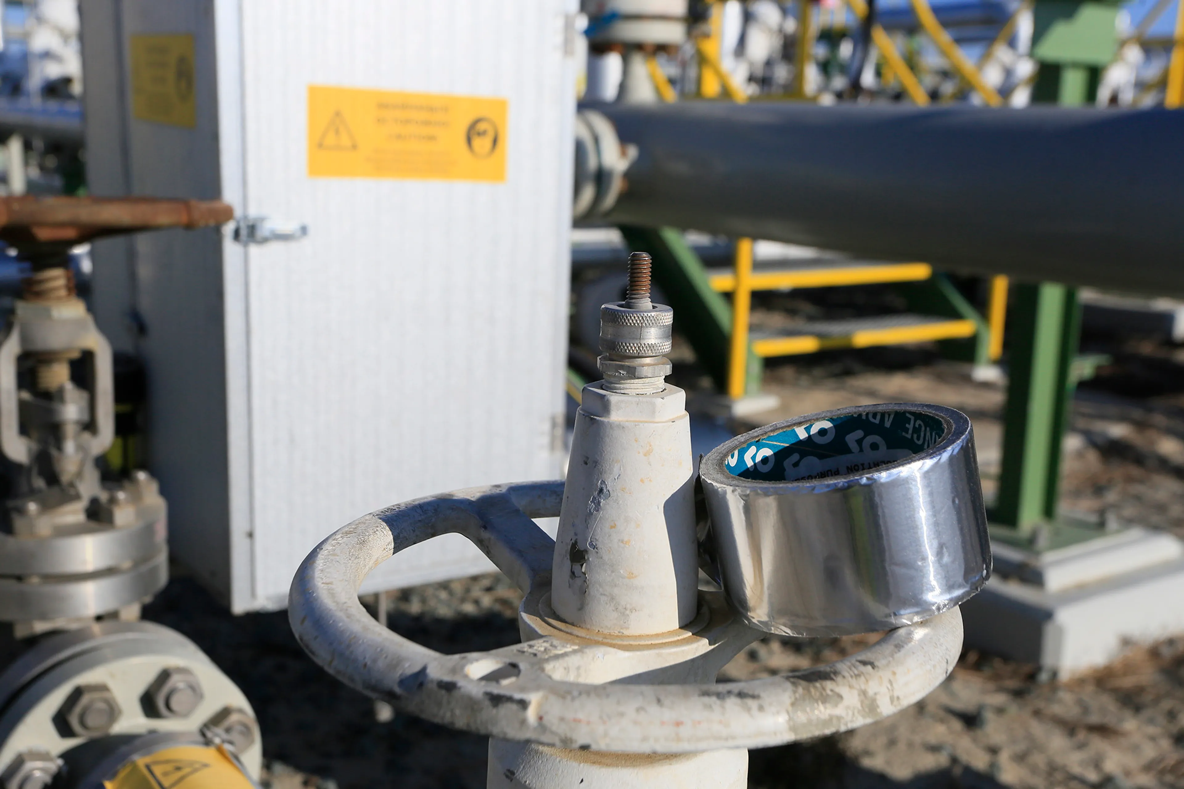 Фото: Руслан Пряников