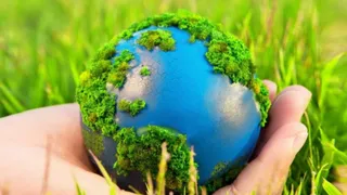 Капитал - Единственная в мире «зеленая» биржа сообщила о рекордных вложениях