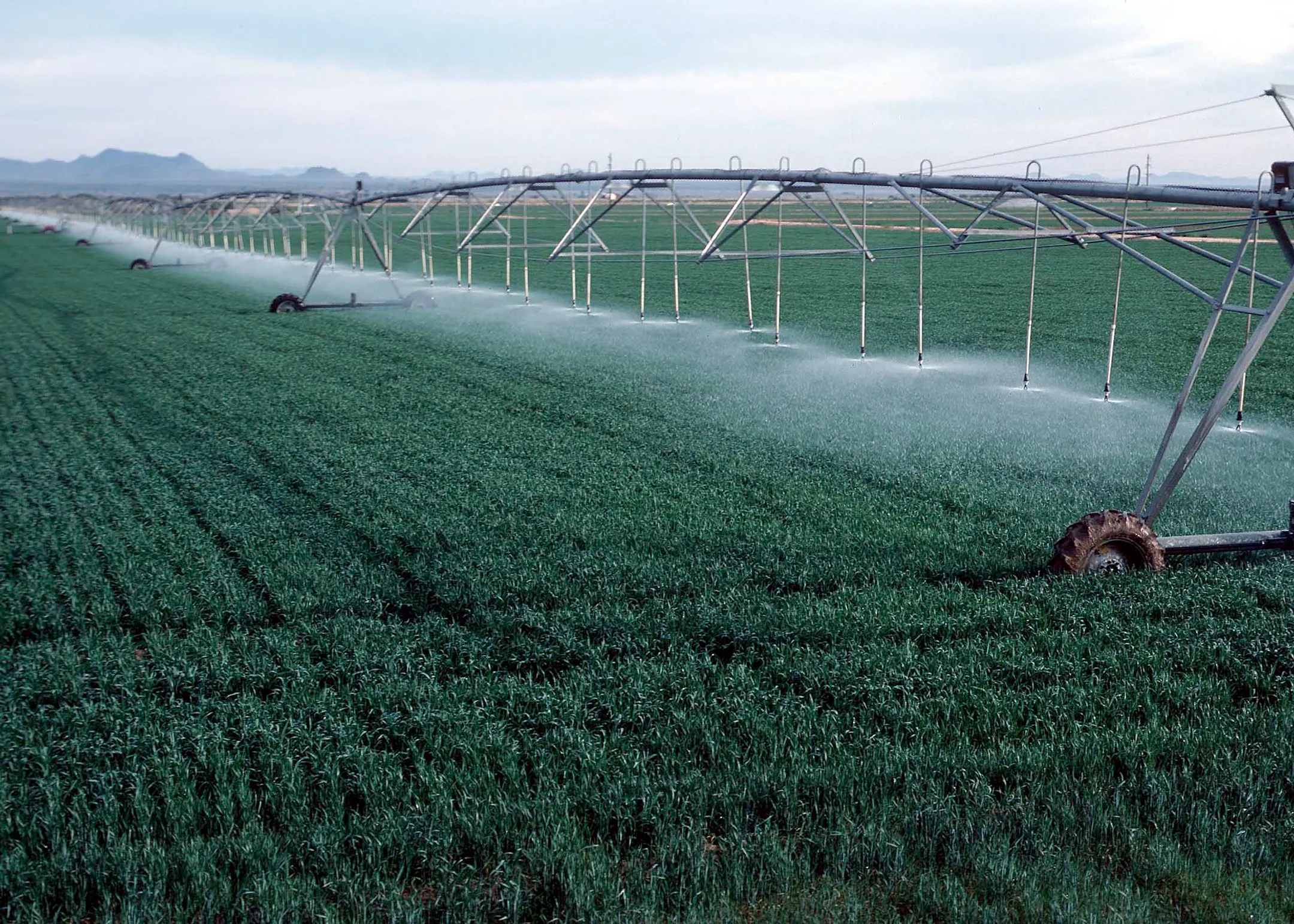 Повысить тариф на поливную воду - Image Kapital.kz