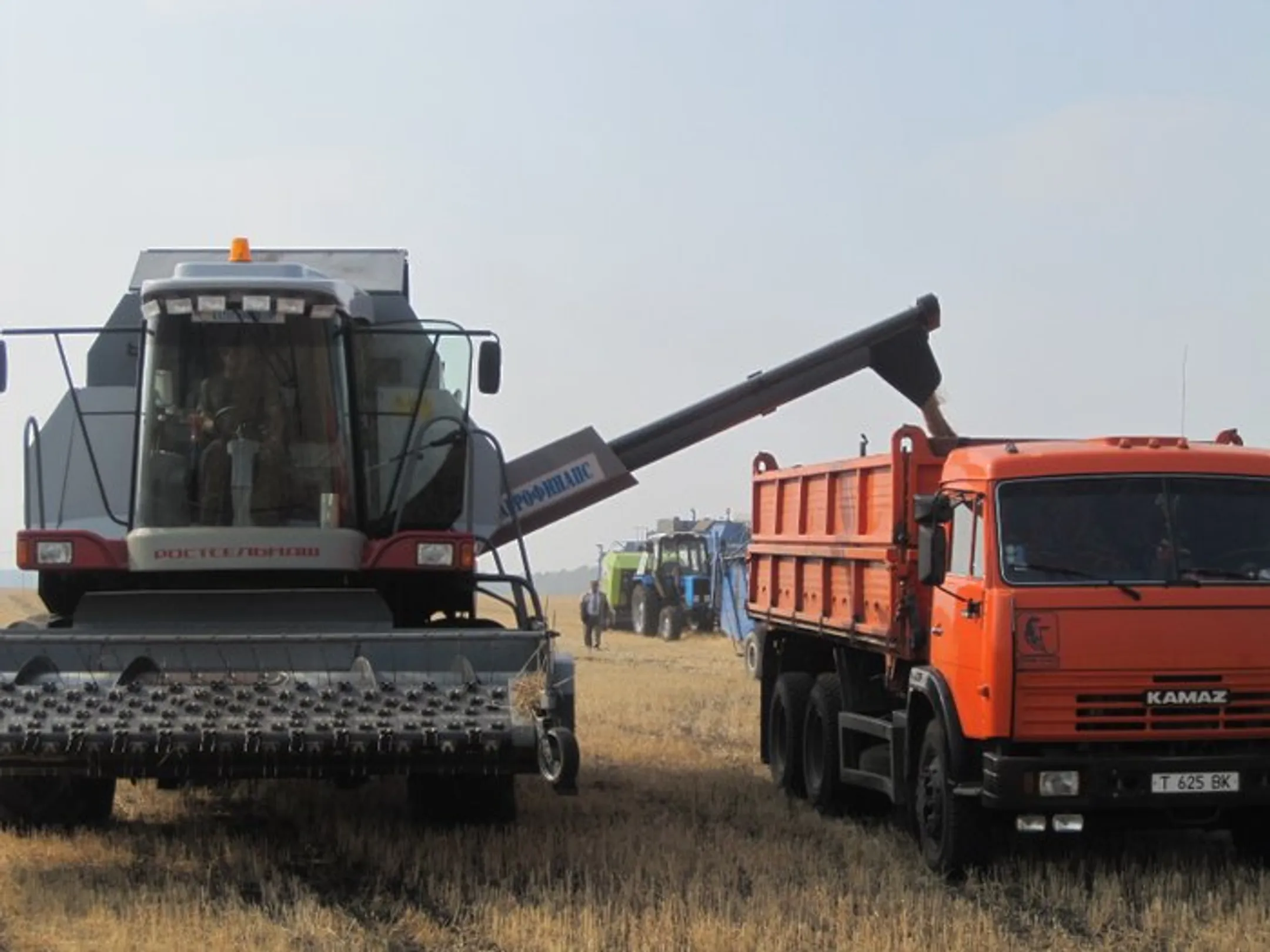 Уборка зерновых выполнена на 60% - Image Kapital.kz