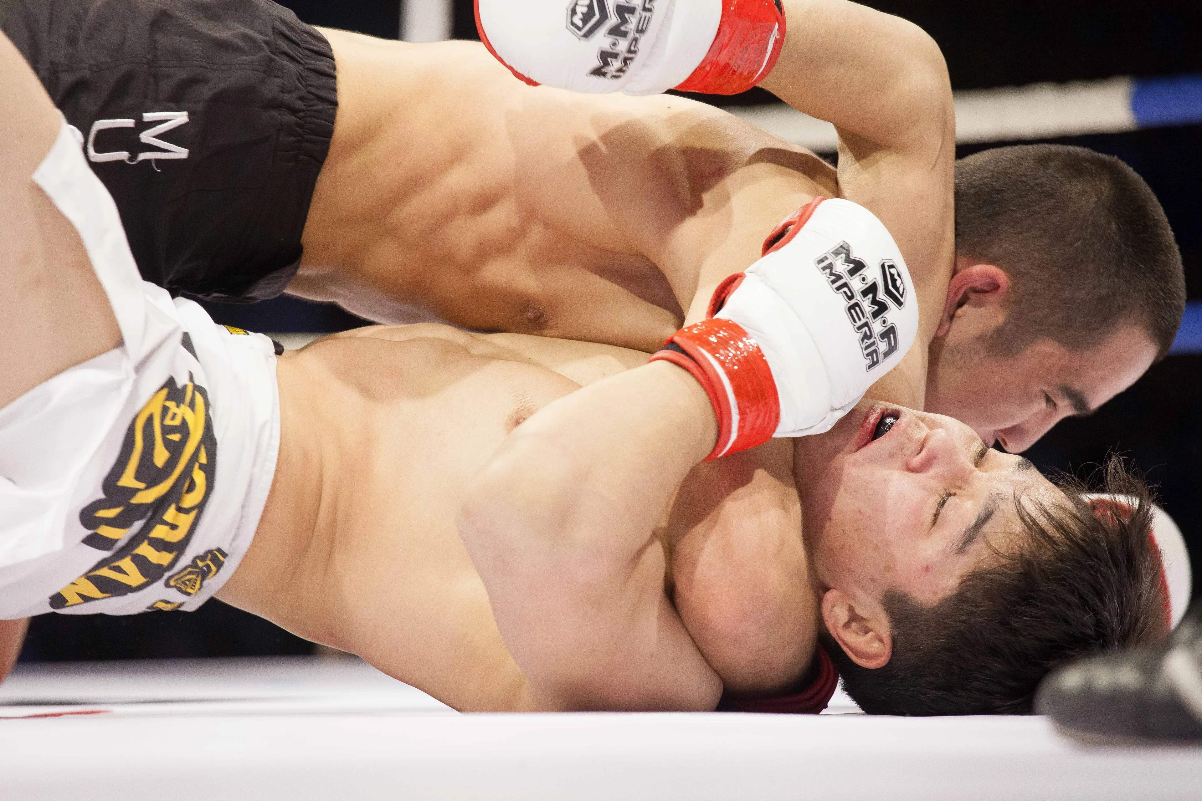 Капитал - В Алматы состоялся турнир по MMA «Битва Номадов-2»