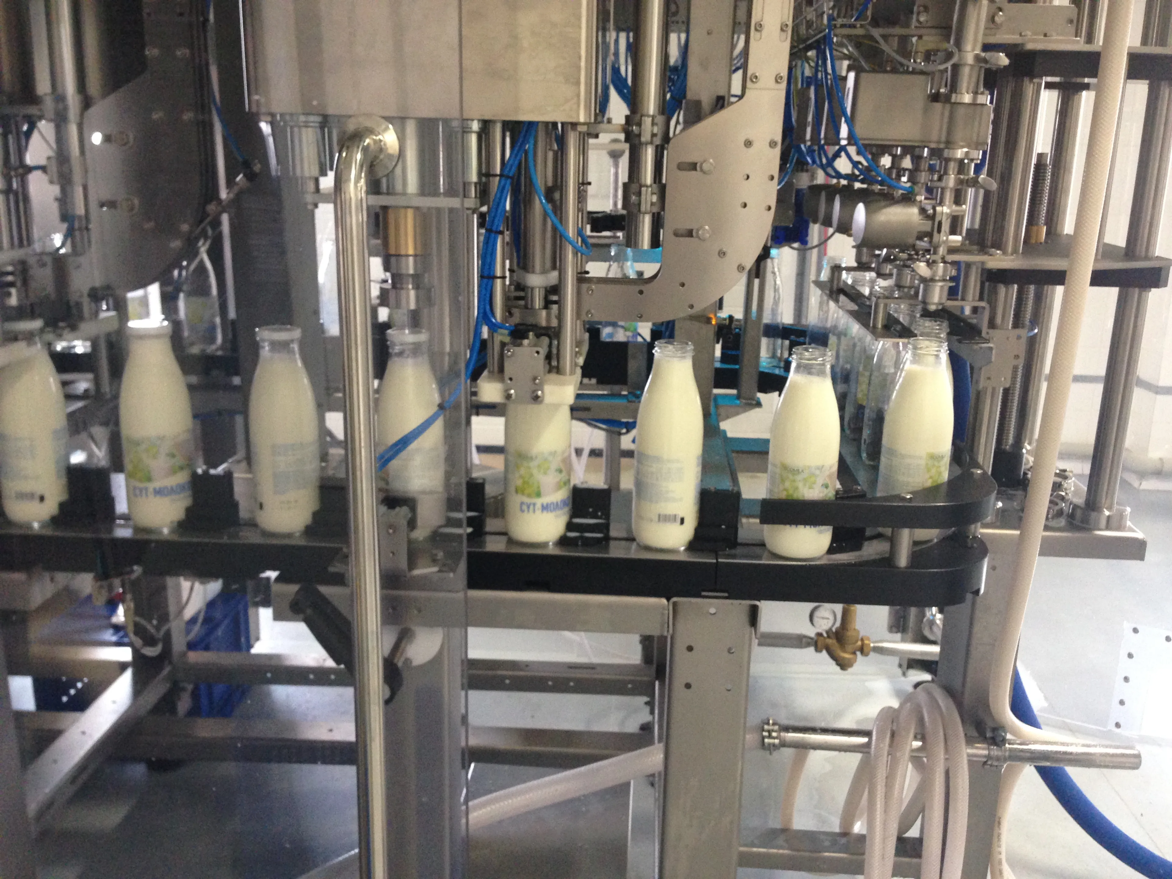 Капитал - Eco Milk - новое имя на рынке молочных продуктов