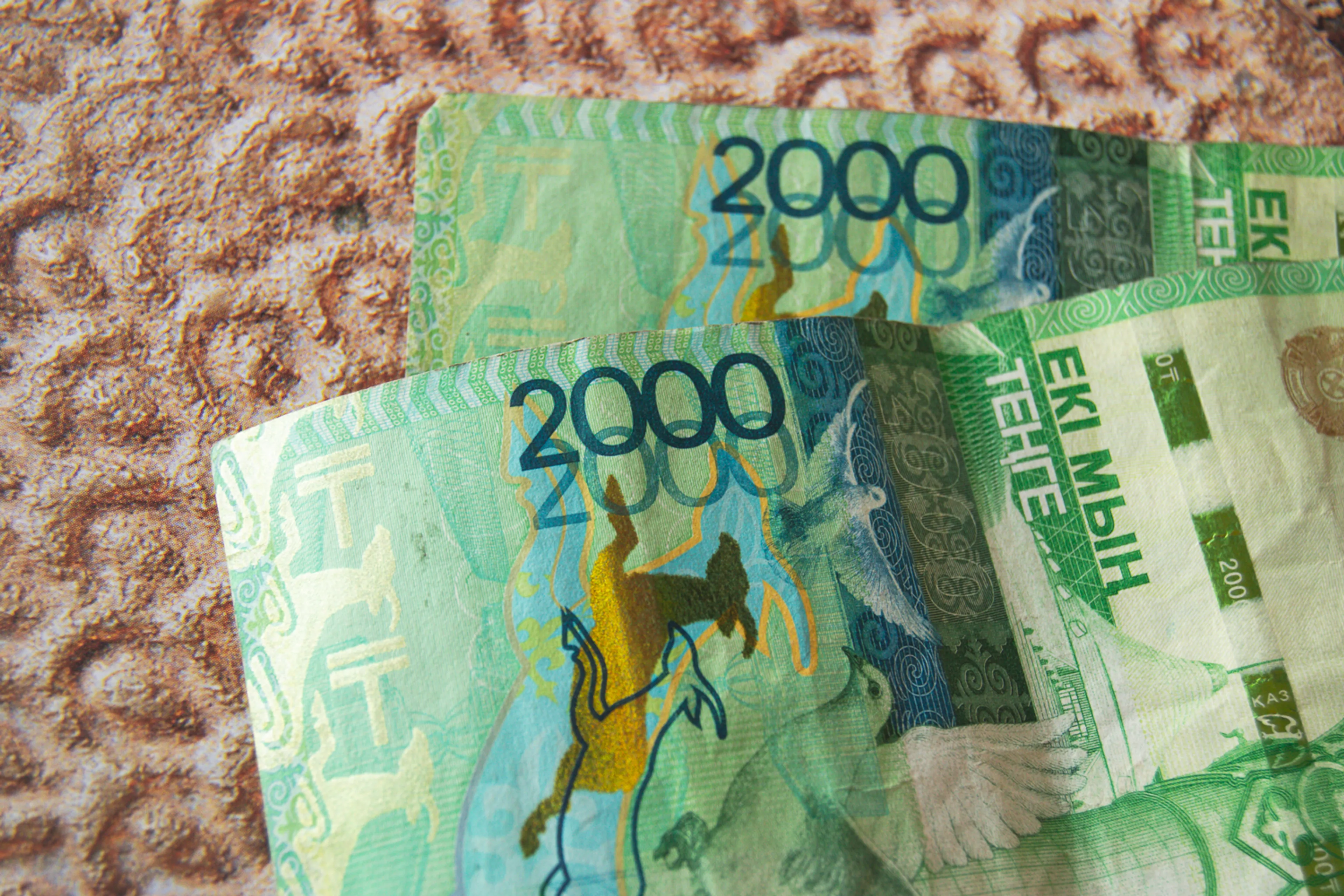 Фото: Валерия Змейкова