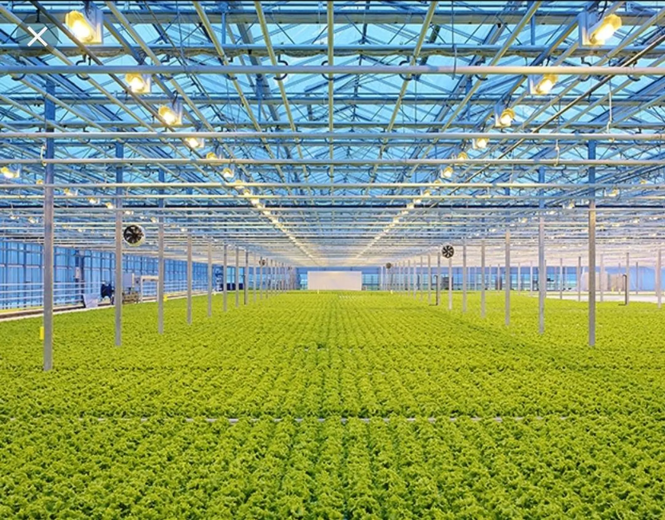 Польские инвесторы строят промышленную теплицу в Казахстане - Image Kapital.kz