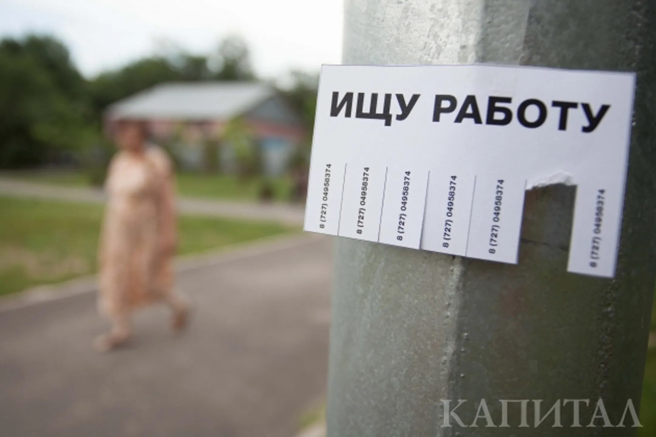 Безработица в Алматы составляет 5,3% - Image Kapital.kz