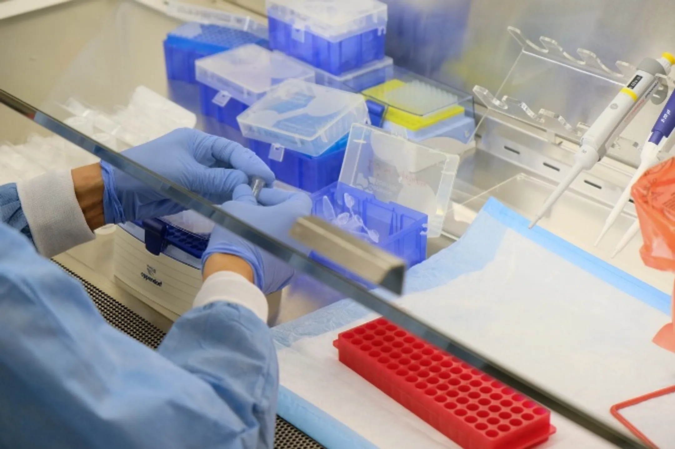 Зачем США подарили бактериологическую лабораторию Казахстану? - Image Kapital.kz