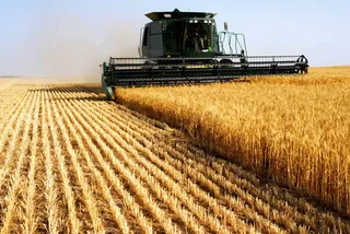 Капитал - Минсельхоз рефинансирует проблемные кредиты