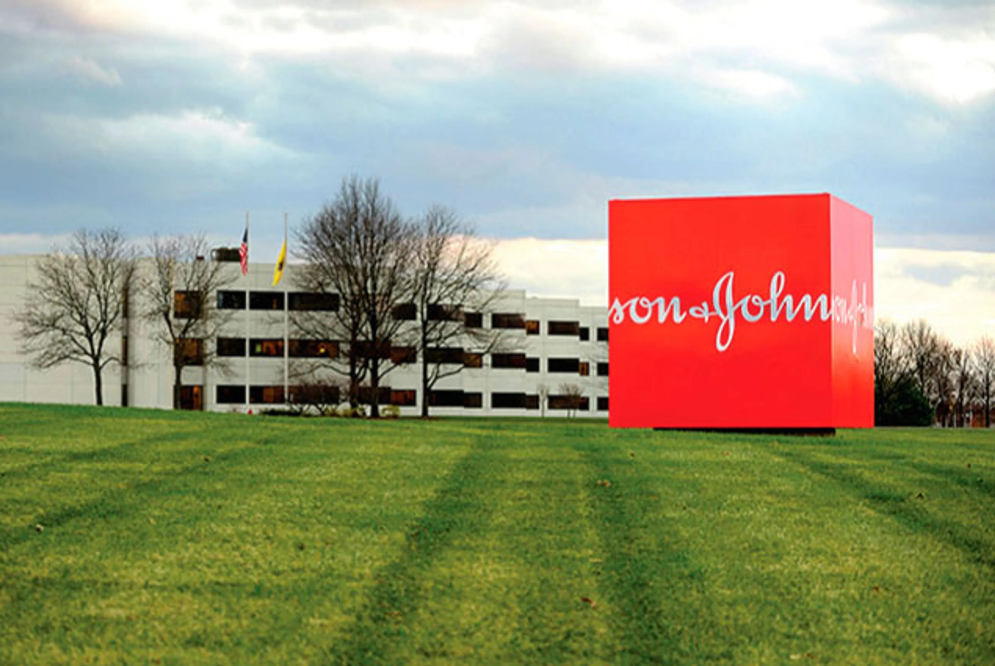 Капитал - Johnson & Johnson работала на откатах