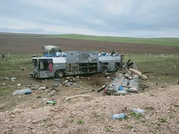 Среди пострадавших в ДТП возле Кордая есть граждане Узбекистана и Таджикистана