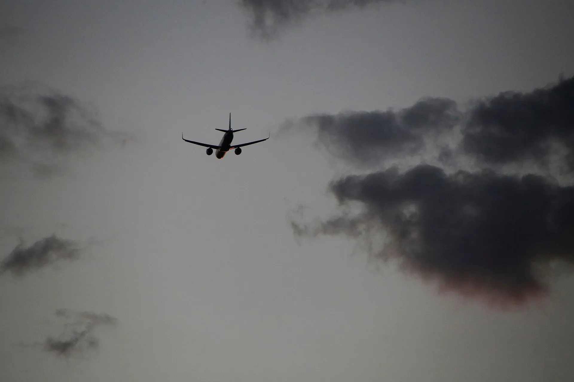 Фото: Руслан Пряников