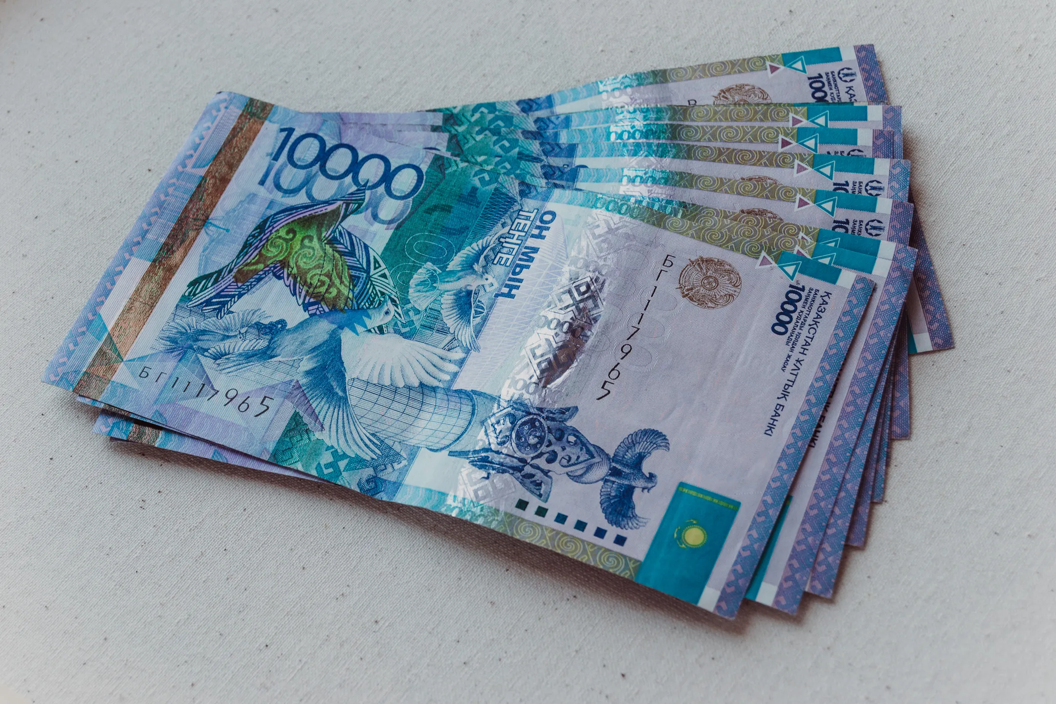 Фото: Валерия Змейкова 