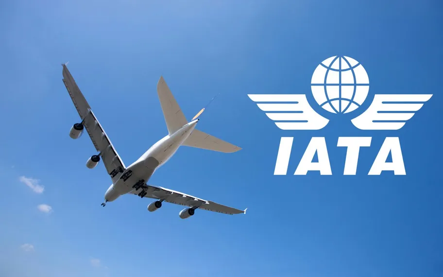 Капитал - IATA ухудшила прогноз по убыткам мировых авиакомпаний
