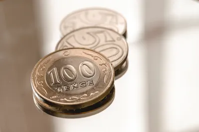 Фото: Валерия Змейкова