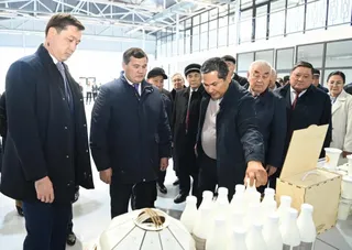 Фото: акимат Кызылординской области