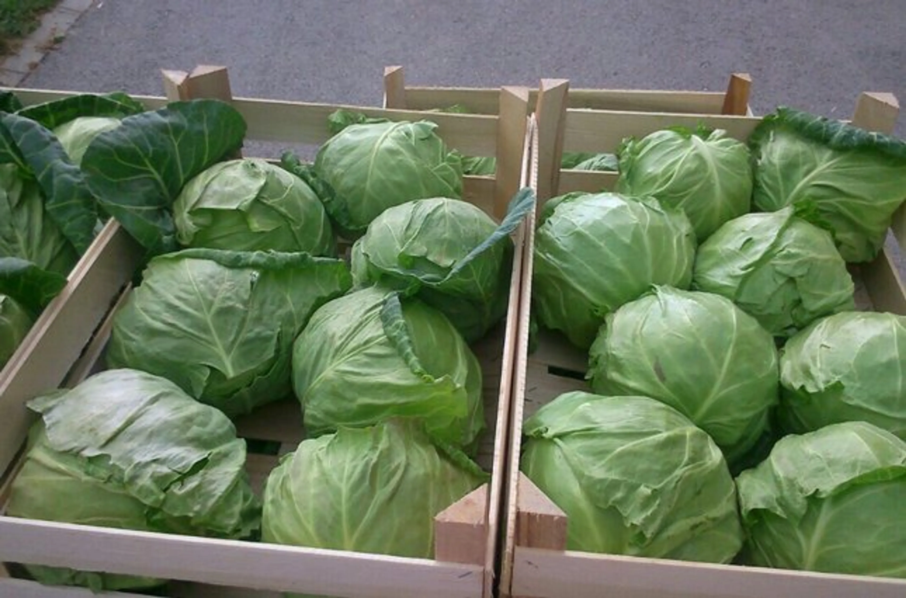 Капитал - Минсельхоз: За границей упал спрос на казахстанскую капусту