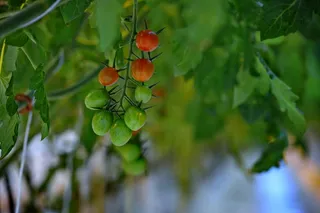 Фото: Владимир Третьяков