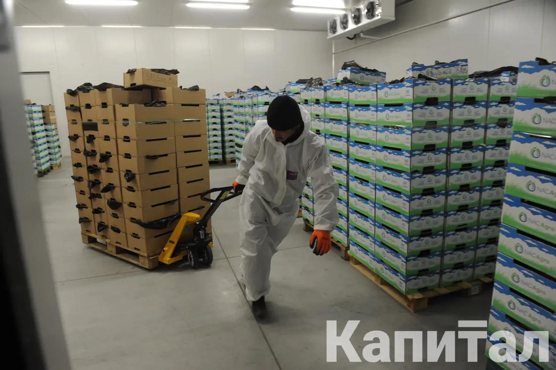 Капитал - Минторговли отказалось от строительства 24 ОРЦ - НПП