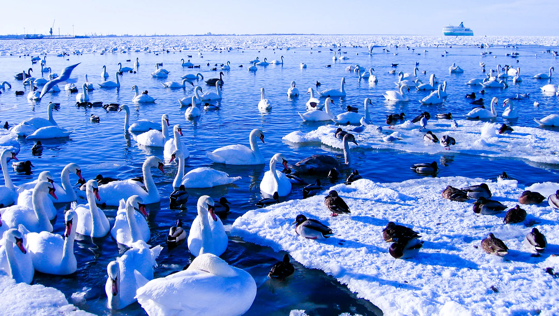 Чем может заинтересовать туристов Мангистауская область - Image Kapital.kz