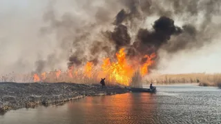 Капитал - Владельцы баз отдыха пострадали из-за пожара в Алматинской области