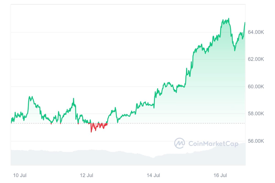 График 2. Стоимость Bitcoin (BTC) за неделю c 10 июля по 17 июля мая 2024 года - Kapital.kz 