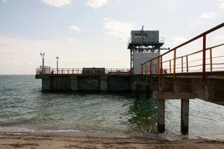 Фото: Руслан Пряников