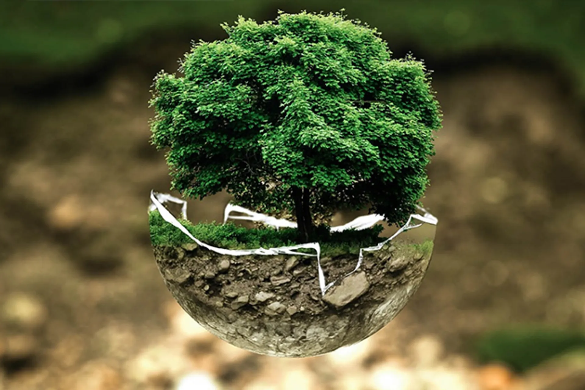 Капитал - Как переходят на зеленую экономику в Актобе