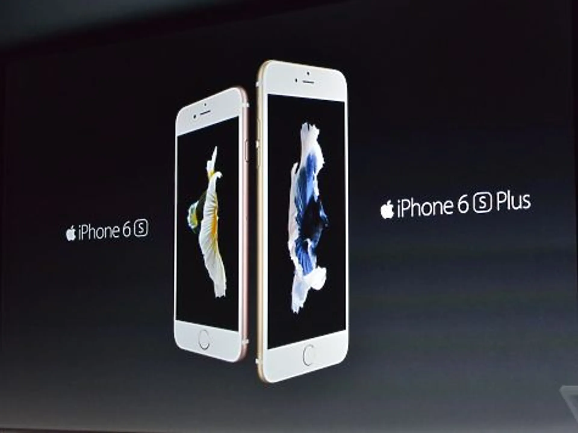 Капитал - Apple показала новые iPhone и iPad