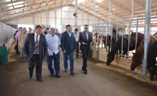 Капитал - В РК запустили производство сухого порошка из кобыльего молока