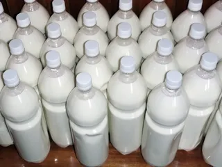 Капитал - Казахстан и Кыргызстан не договорились о ввозе молока