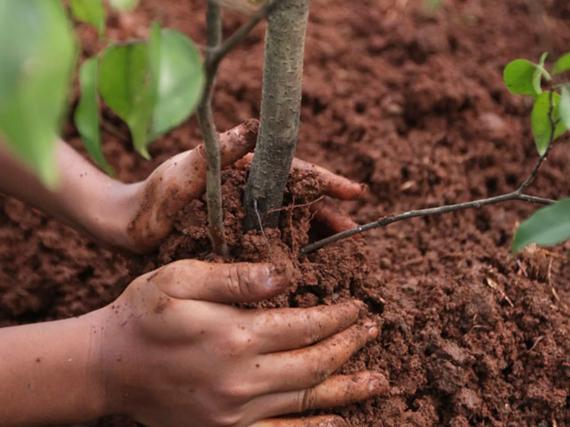 Капитал - Вокруг хвостохранилища Кошкар-ата создадут зеленый пояс