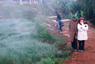 Капитал - В Таиланде из-за аномальных холодов погибли 63 человека