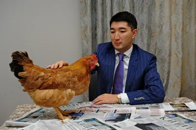 Как специалист по ценным бумагам построил птицефабрику