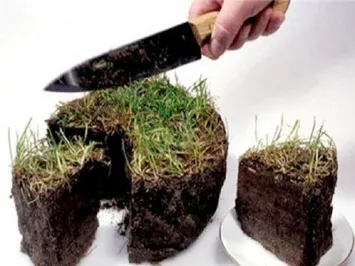 18 акимов Алматинской области могут потерять свои места