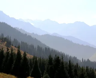 Капитал - Школьные лагеря откроют в Иле-Алатауском парке