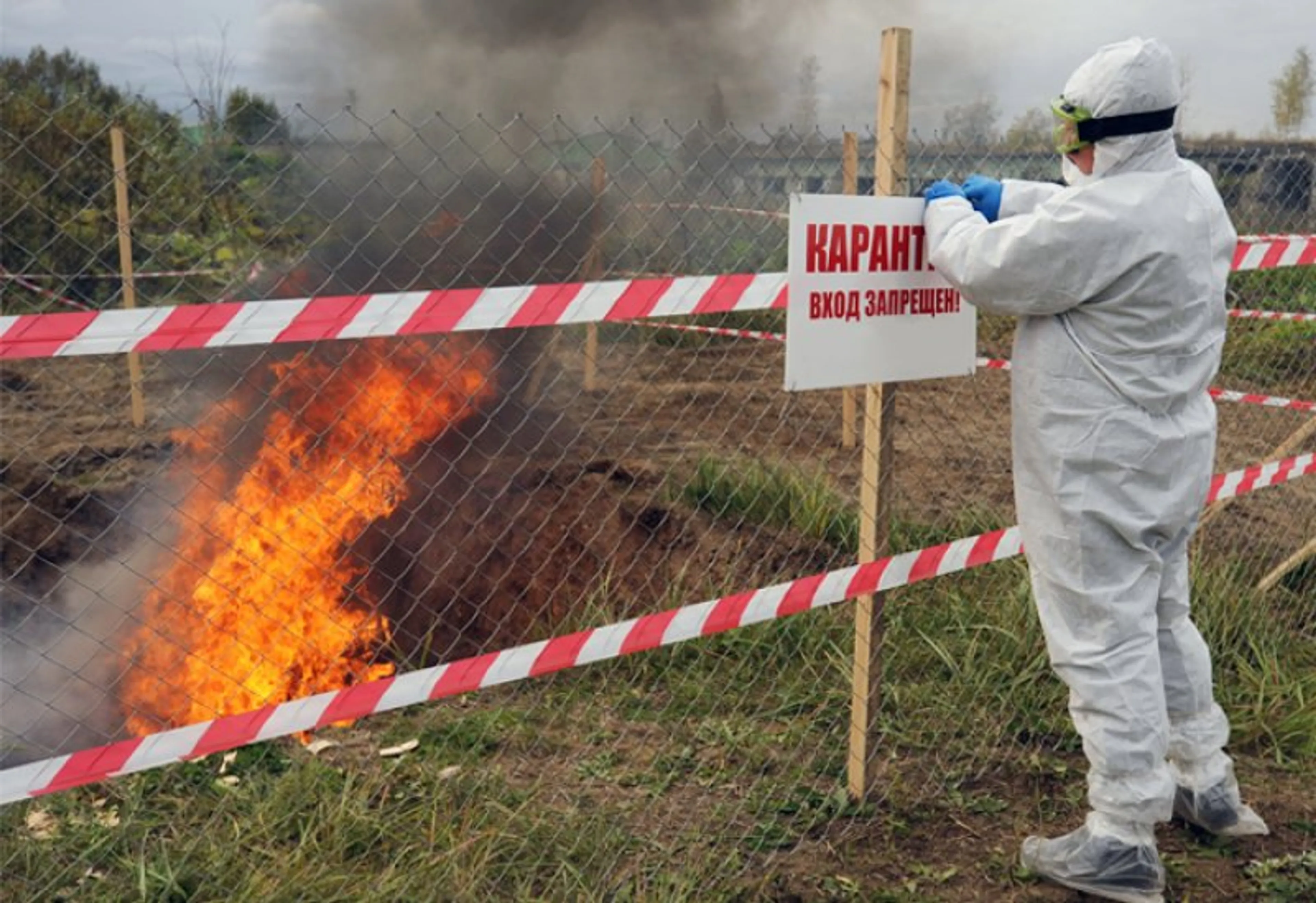Капитал - Карантин в зоне вспышки сибирской язвы снимут через 15 дней