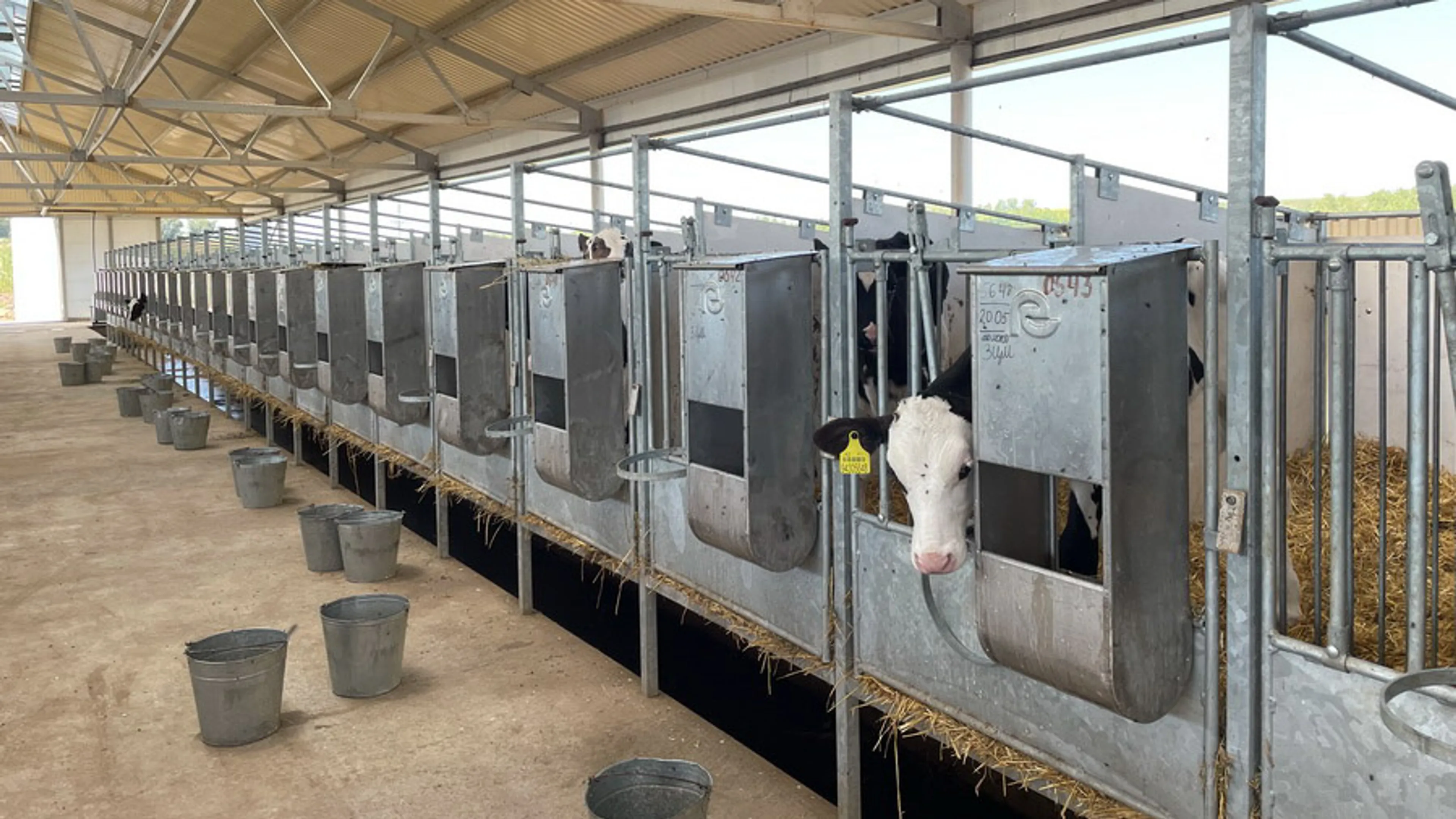 Капитал - В 2023 году в агропромышленном комплексе Казахстана запустили 207 инвестпроектов