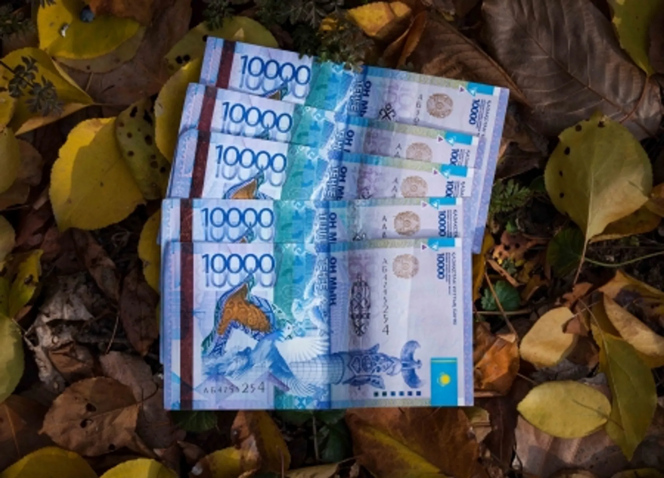 Среднемесячная зарплата в РК в октябре увеличилась - Image Kapital.kz