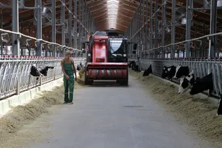 Фото: Руслан Пряников 