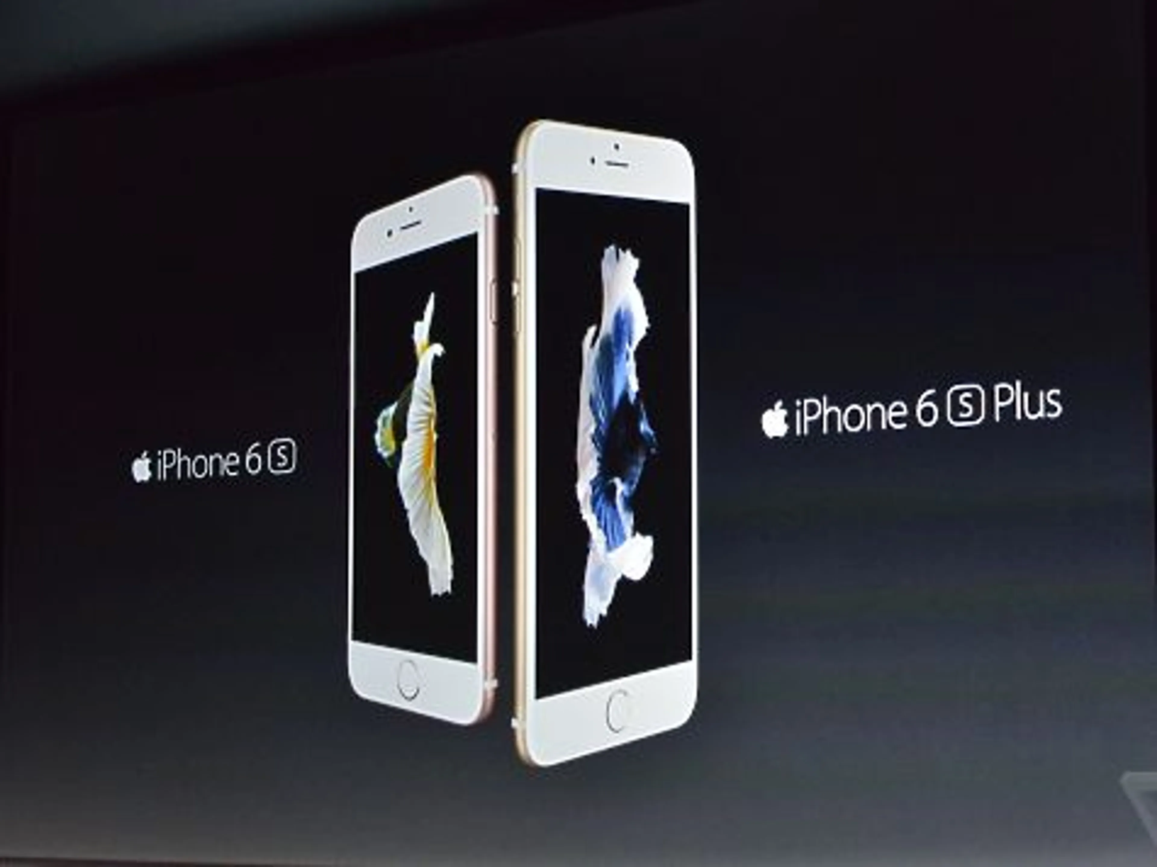 Капитал - Apple показала новые iPhone и iPad