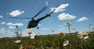 Капитал - Вертолет Ми-2 совершил жесткую посадку в Акмолинской области