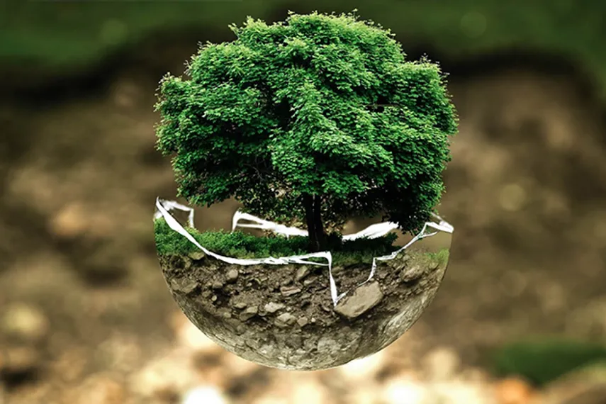 Капитал - Как переходят на зеленую экономику в Актобе