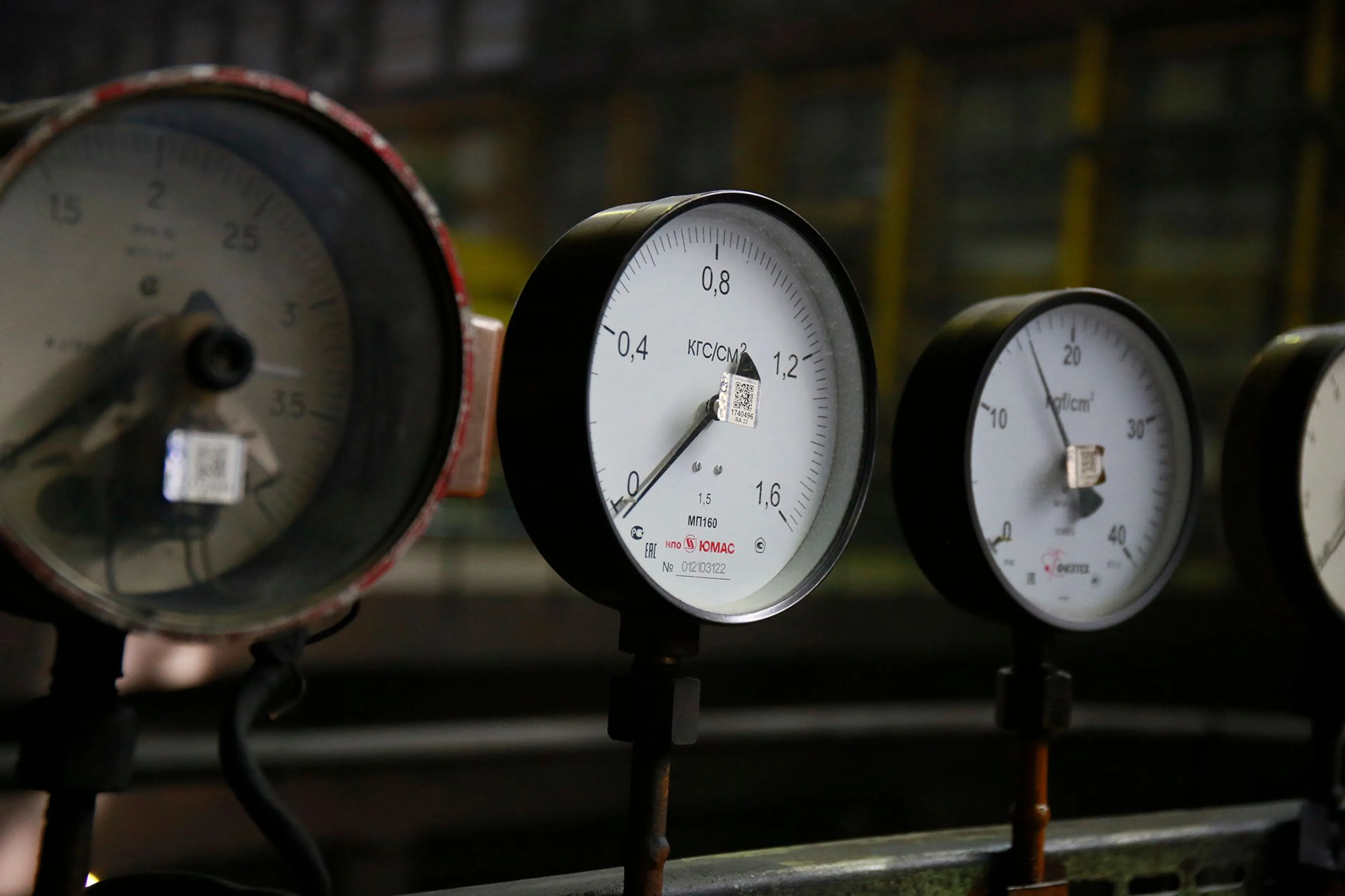 Фото: Руслан Пряников