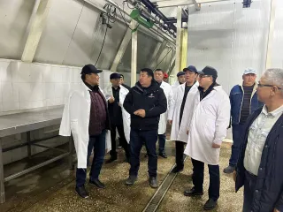 Капитал - Сотрудничать в сфере растениеводства намерены Казахстан и Кыргызстан