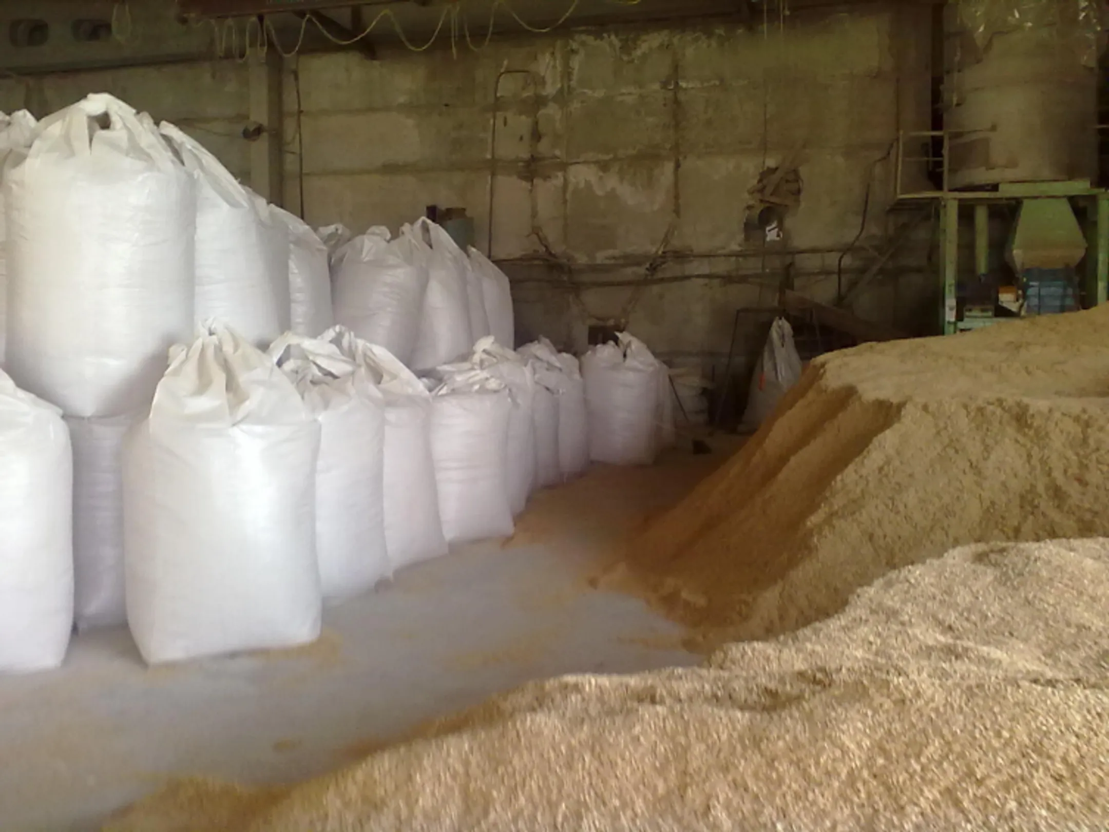 В Кызылординской области запустят завод по переработке риса - Image Kapital.kz