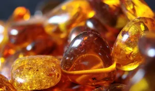 Капитал - В Беларуси решили добывать янтарь